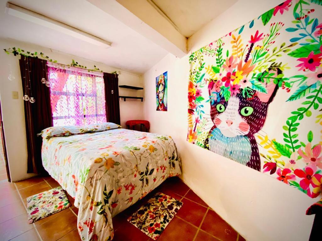 Casa Mexicana Guanajuato Exterior photo